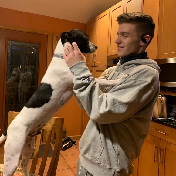 Meet your Posher, Joseph - Picture 1 of 1